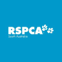 rspcasa.org.au