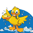 Rubber Duck car wash logo
