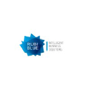 RubiBlue Information Technology Solutions