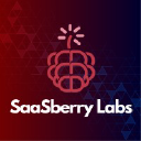 saasberrylabs.com
