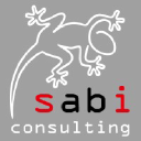 sabi-consulting.cz
