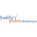 saddlepointtech.co.uk