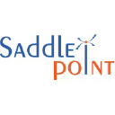 saddlepointtech.com