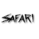 safaristaffing.com