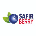 safirberry.com
