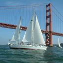 sailsfbay.com