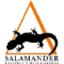salamanderbv.nl