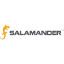 Salamander Technologies LLC