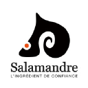 salamandre.tm.fr