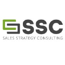 Sales Strategy Consulting