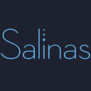 salinasnyc.com