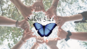 salon521.com
