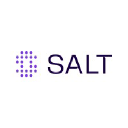 Salt Security logo