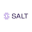 Salt Security Inc