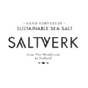 saltverk.com Logo