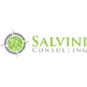 salviniconsulting.com