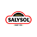 salysol.com