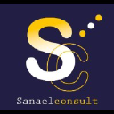 sanaelconsult.com