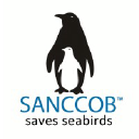 sanccob.co.za