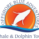 Offshore Blue Adventures