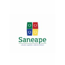 saneape.com.br