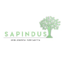 sapindus.fi