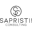 sapristi-consulting.com