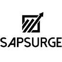 sapsurge.com