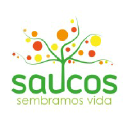 saucos.com