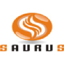 saurustechnology.com