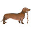 Sausagedogsanctuaryfood