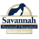 savannahanimalhosp.com