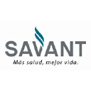 savant.com.ar
