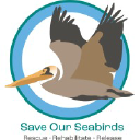 saveourseabirds.org