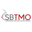 sbtmo.org.br