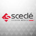scecle.com