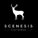 scenesis-pictures.fr