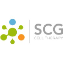 SCG Cell Therapy