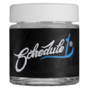 Schedule 1 Logo