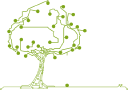 Schreiner IT GmbH