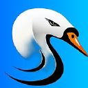 Schwan Stratifyr