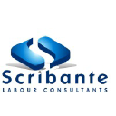 scribantelabour.co.za