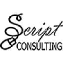 script-consulting.com