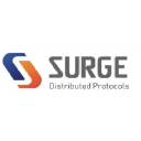 SURGE ERP Consulting