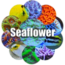 seaflower.nl