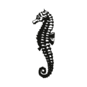 seahorse.fi