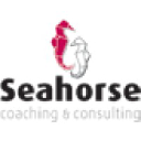 seahorseconsulting.com