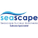 seascapesurveys.com
