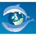 seawatchfoundation.org.uk