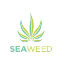 seaweedcannabis.com